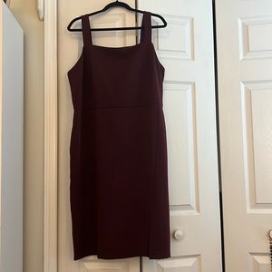 LOFT Maroon Knee Length Dress